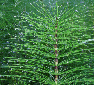 Recent Posts Recent Posts