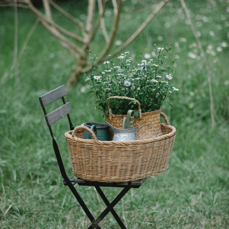 <em>Edit Promo Post</em> Upcoming Latah County Ladies Homestead Gatherings!