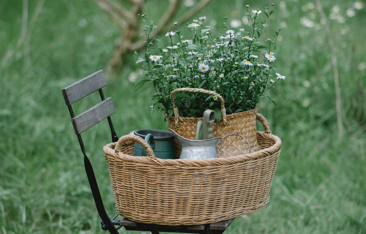 <em>Edit Promo Post</em> Upcoming Latah County Ladies Homestead Gatherings!